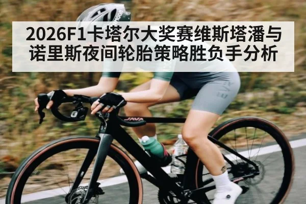 2026F1卡塔尔大奖赛维斯塔潘与诺里斯夜间轮胎策略胜负手分析